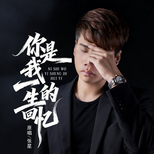 你是我一生的回忆