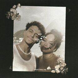 Cover of flores de outono