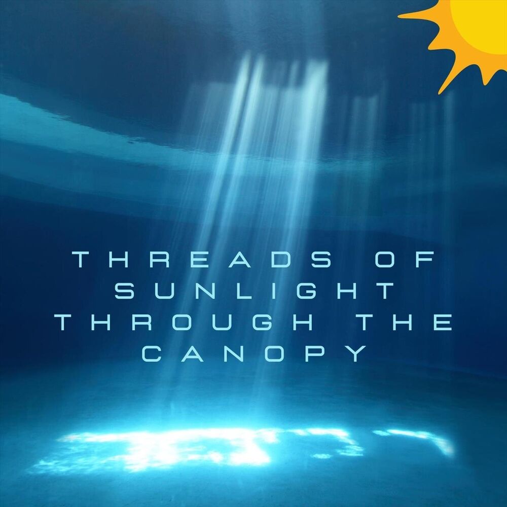 Picture of Threads of Sunlight Through the Canopy
