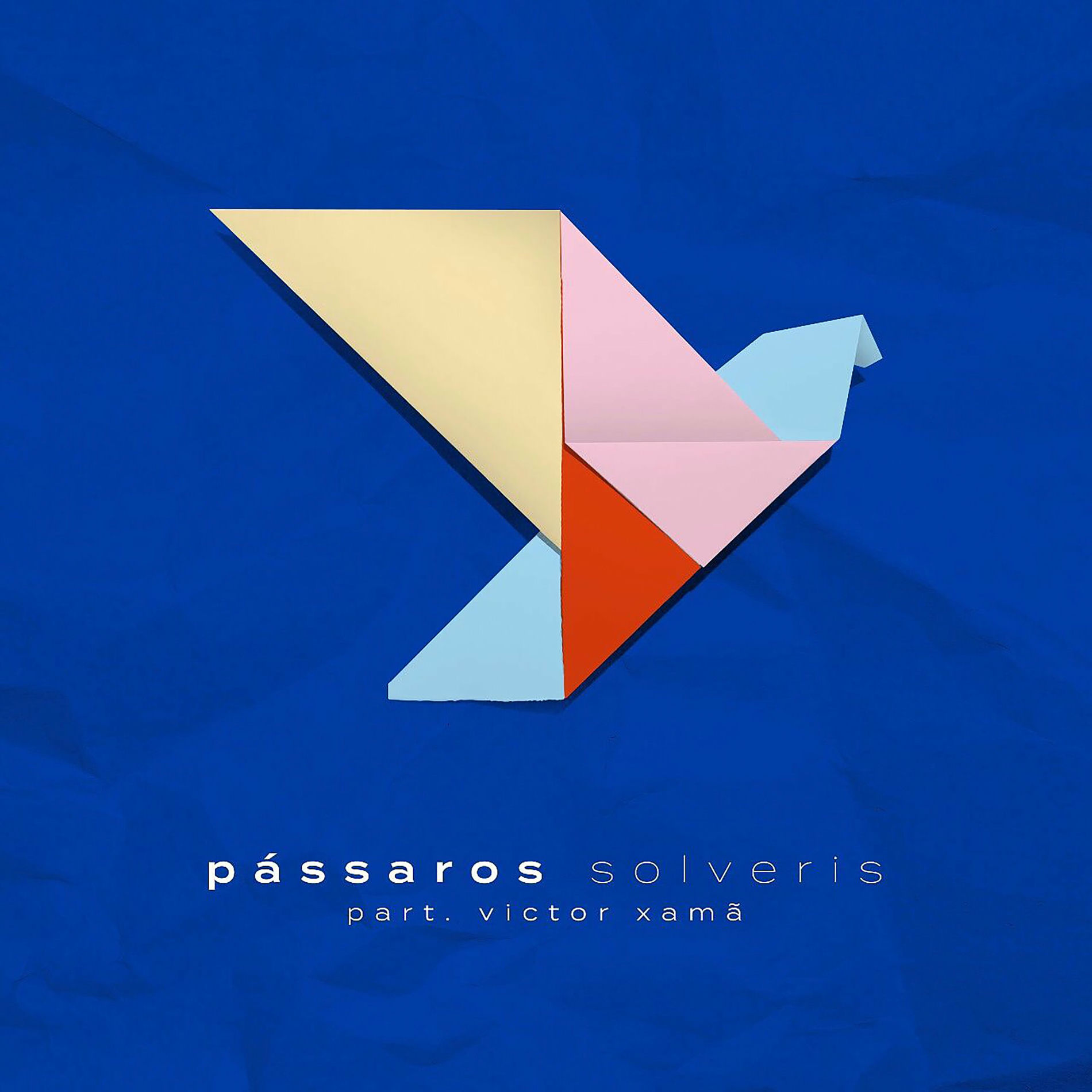 Album cover of Pássaros
