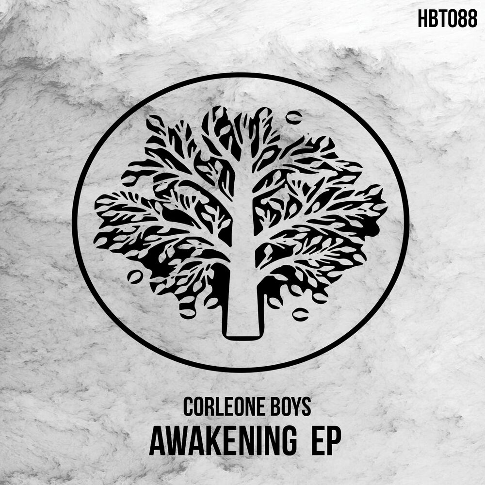 Picture of Awakening EP