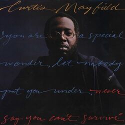 Cover of Never Say You Can't Survive