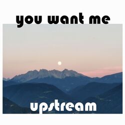 Cover of you want me