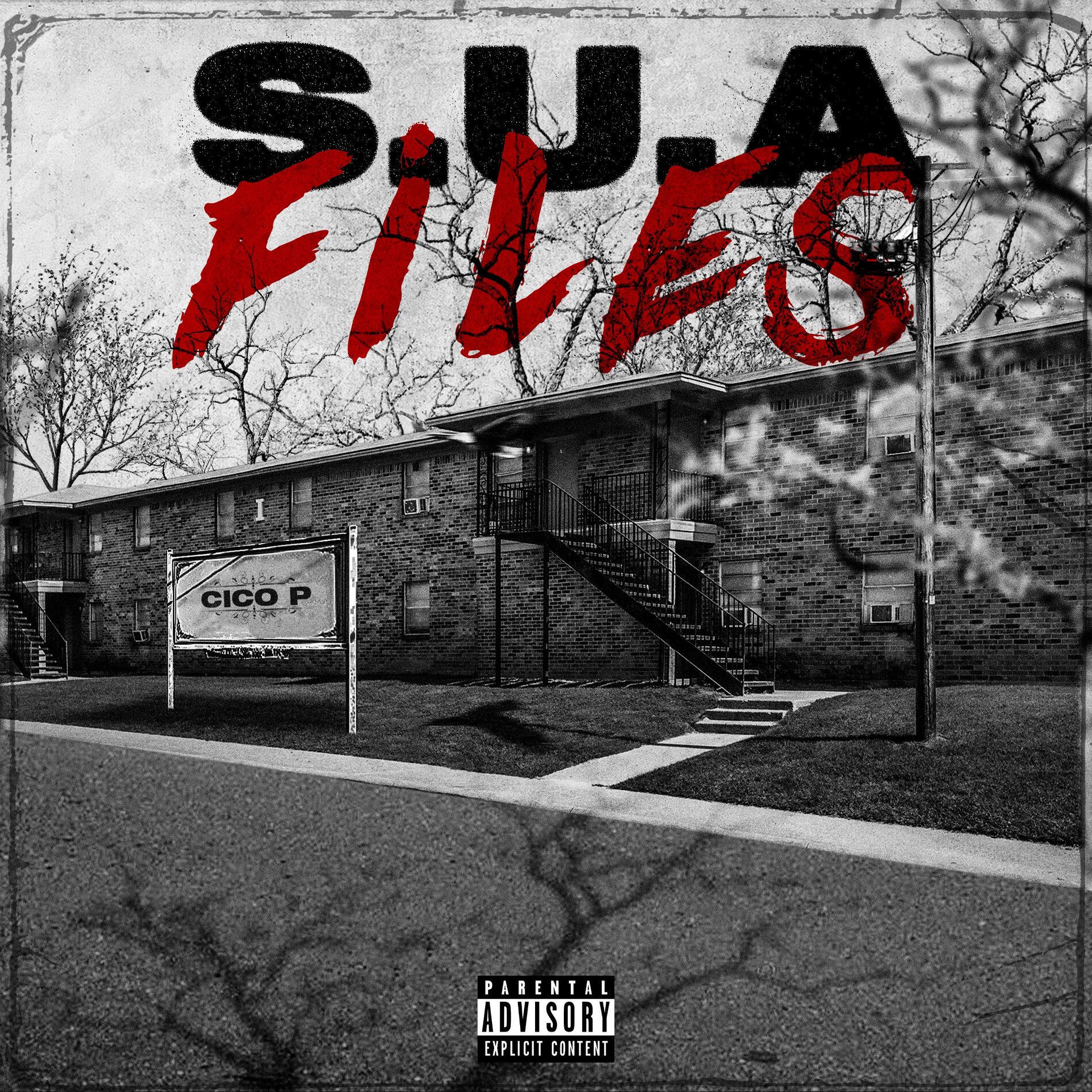 Album cover of Tampa