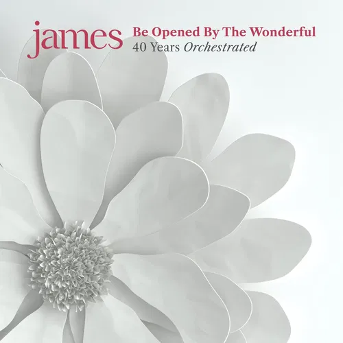 Be Opened By The Wonderful — cover art