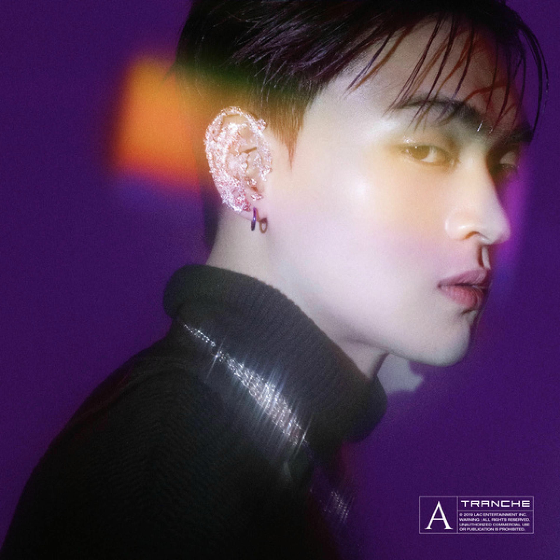Album cover of TRANCHE
