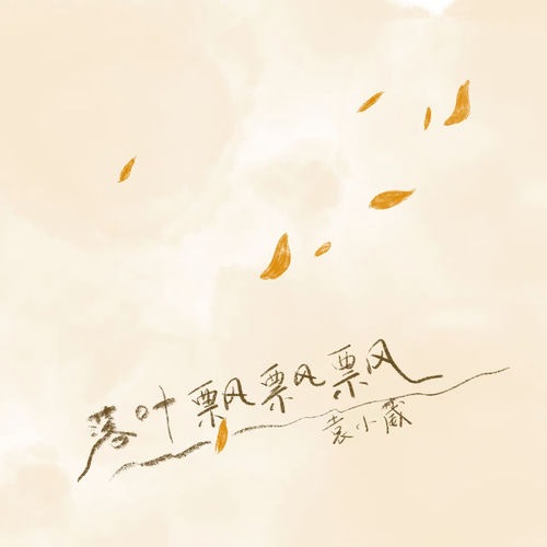 落叶飘飘飘飘