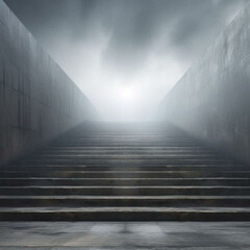 Rise