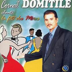 Cover of La fête des mères
