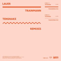 music cover