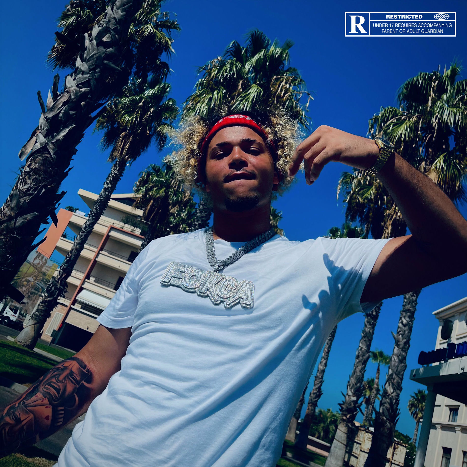 Album cover of FREESTYLE O2