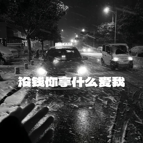没钱你拿什么爱我
