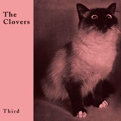 Cover of Third