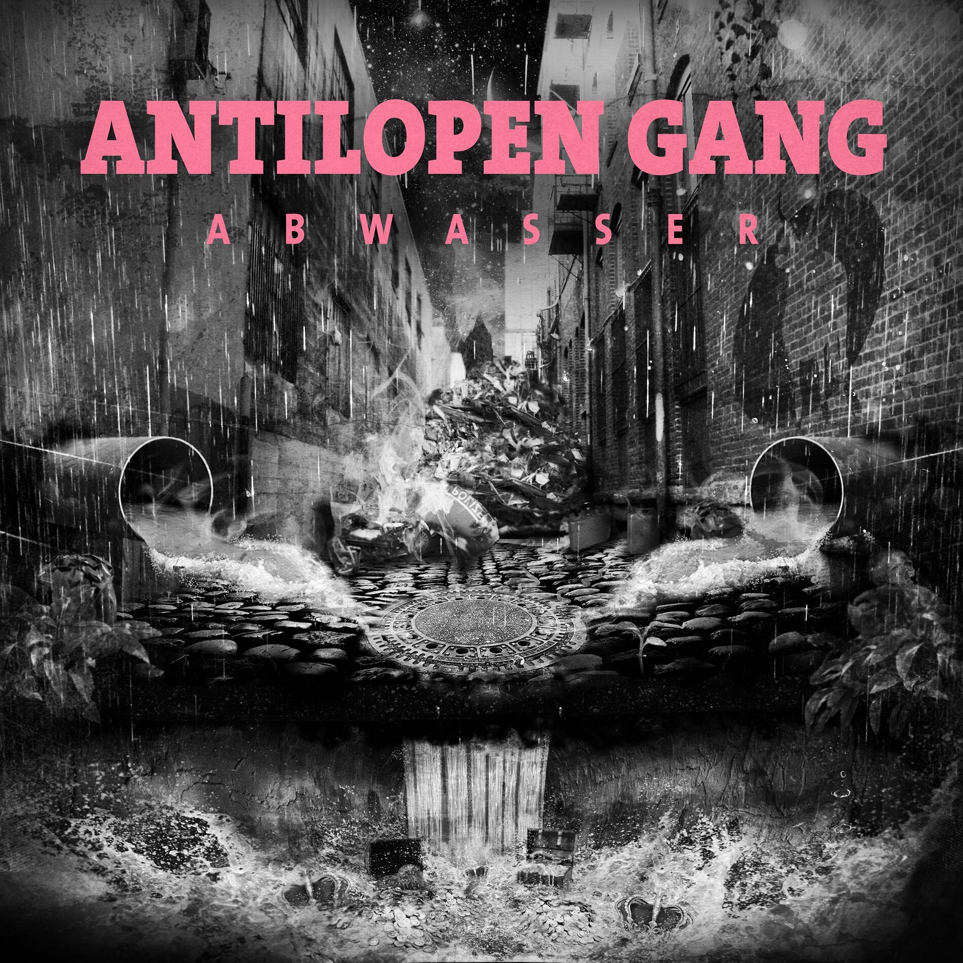 Album cover of Molotowcocktails auf die Bibliotheken
