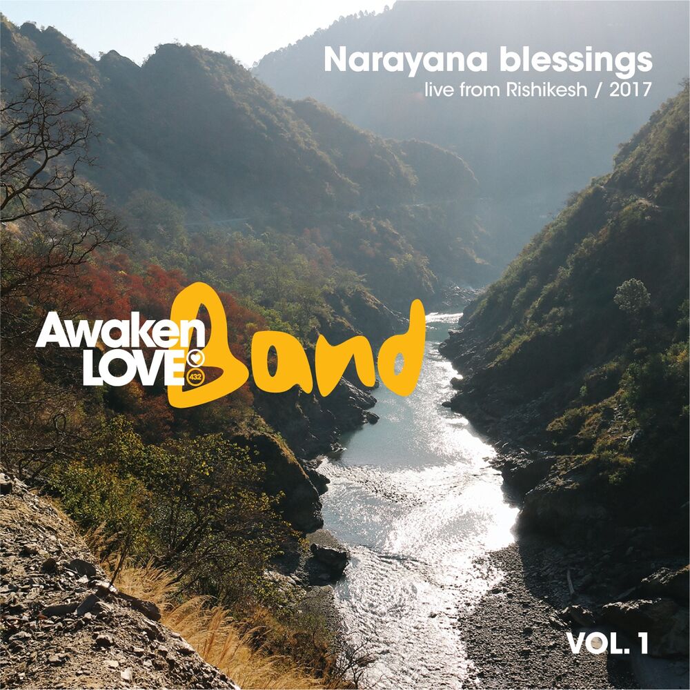 Picture of Narayana Blessings, Vol. 1