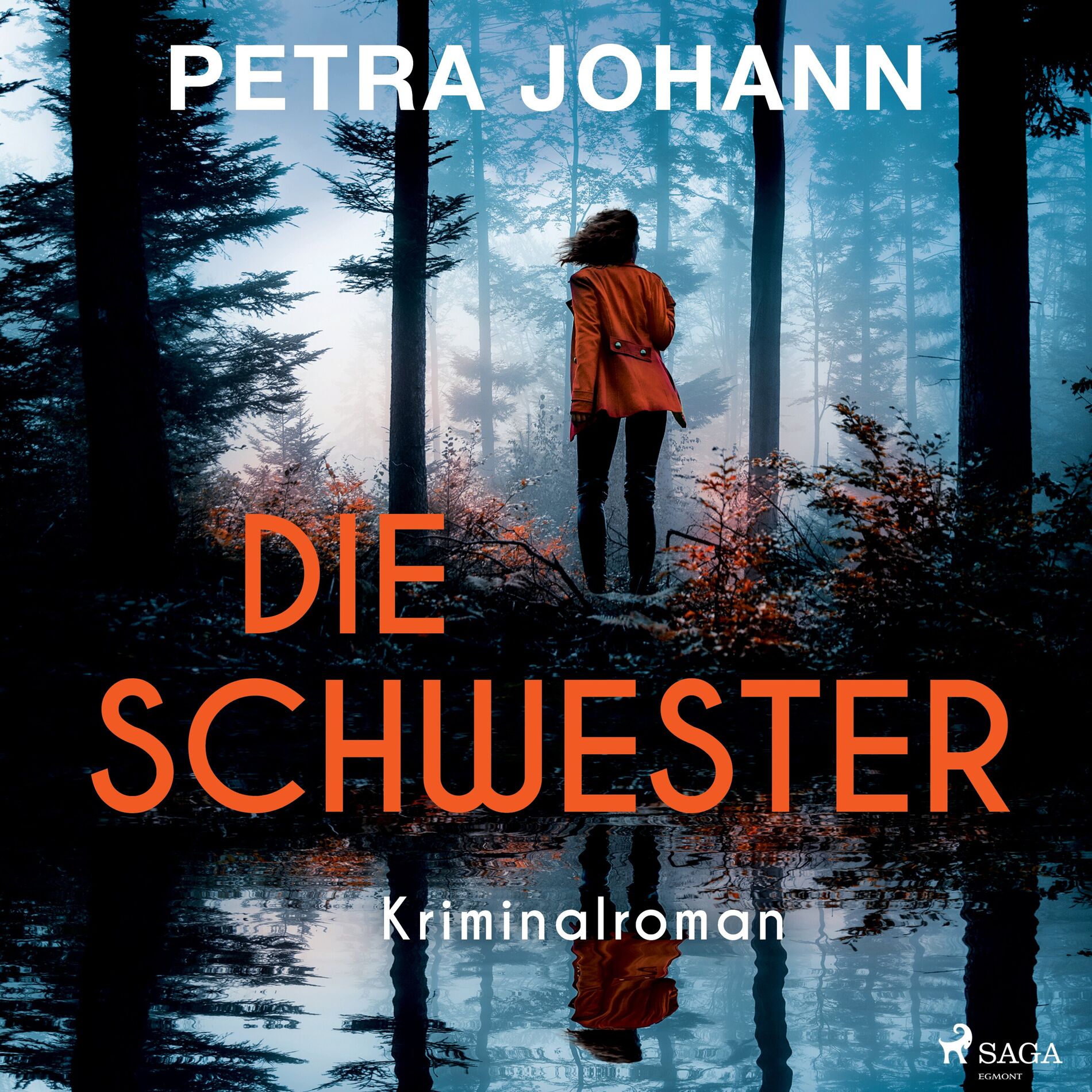Album picture of Die Schwester