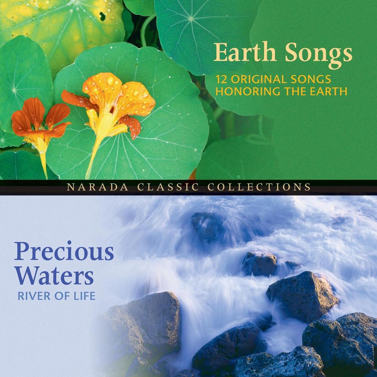 Album cover of Earth Songs/Precious Waters