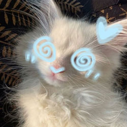 Descargar suffocate me until i turn blue - Amotti MP3