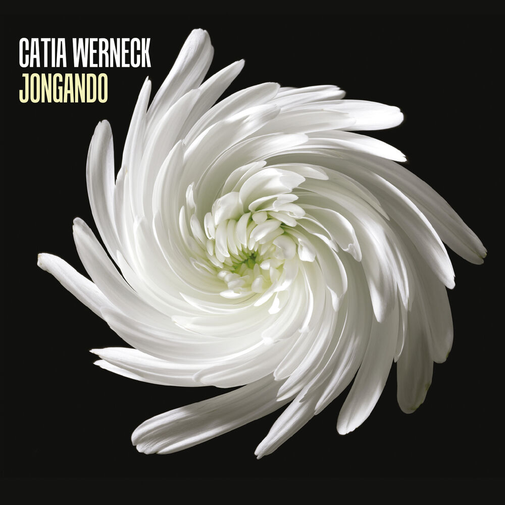 Picture of Jongando