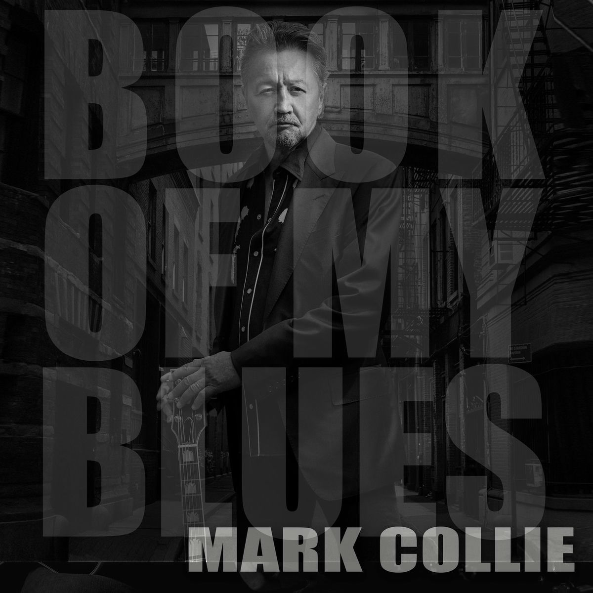 Album cover of Book of My Blues