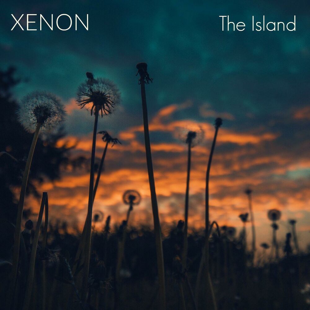 Picture of The Island