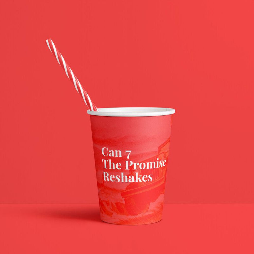 The Promise (Can 7 Reshake)