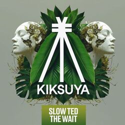 Cover of The Wait