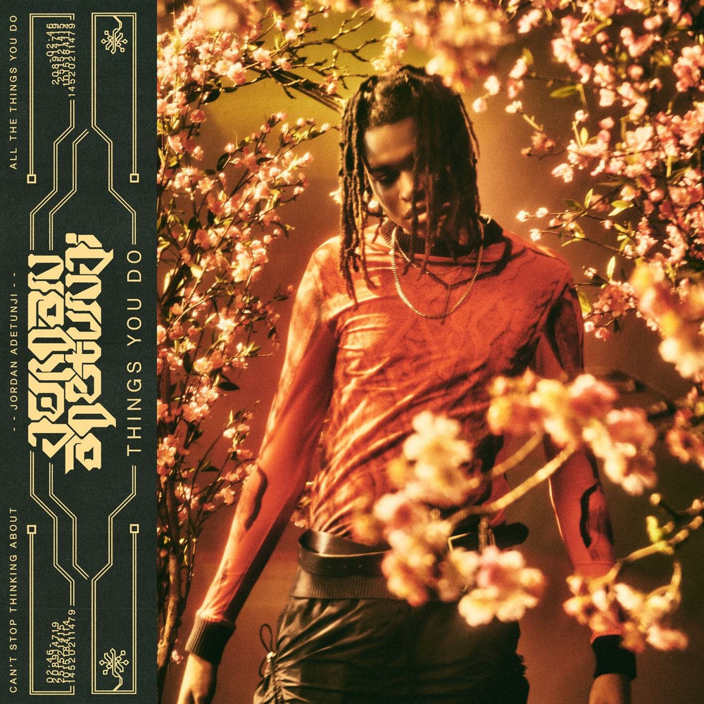 THINGS YOU DO album cover