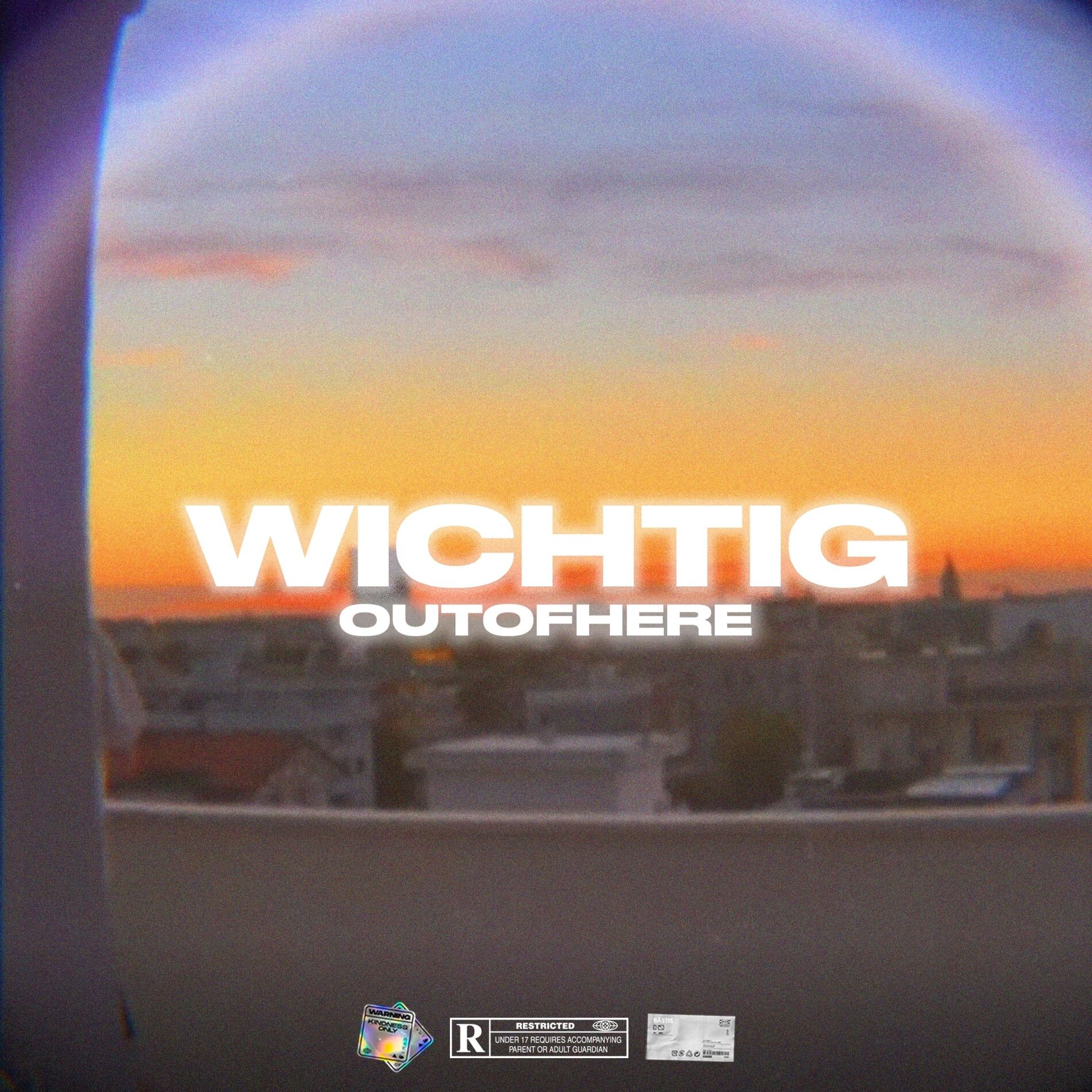 Album cover of Wichtig