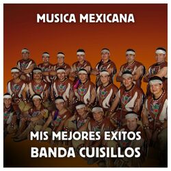 Cover of Música Mexicana - Mis Mejores Exitos