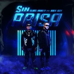 Cover of Sin Prisa