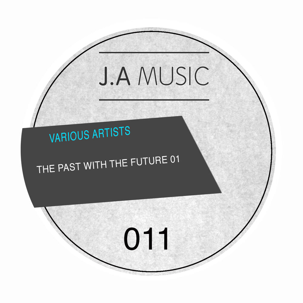 Picture of The Past With The Future 001