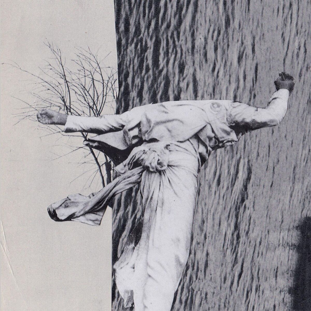 Album cover of White Noise
