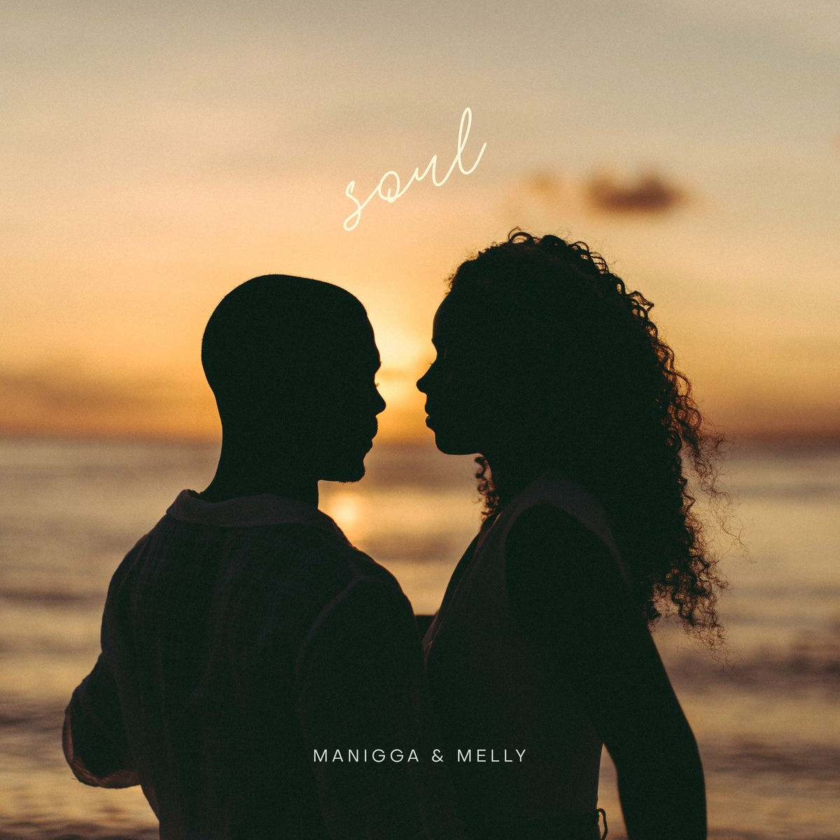 Album cover of Soul
