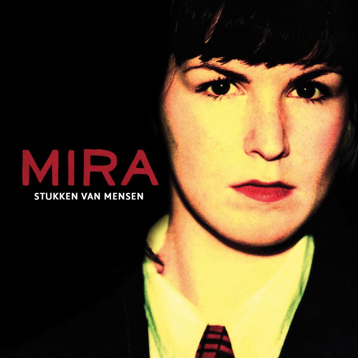 Album cover of Stukken Van Mensen