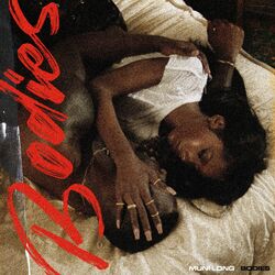 Cover of Bodies