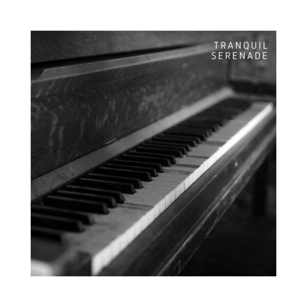Picture of Tranquil Serenade: Calm Instrumental Piano