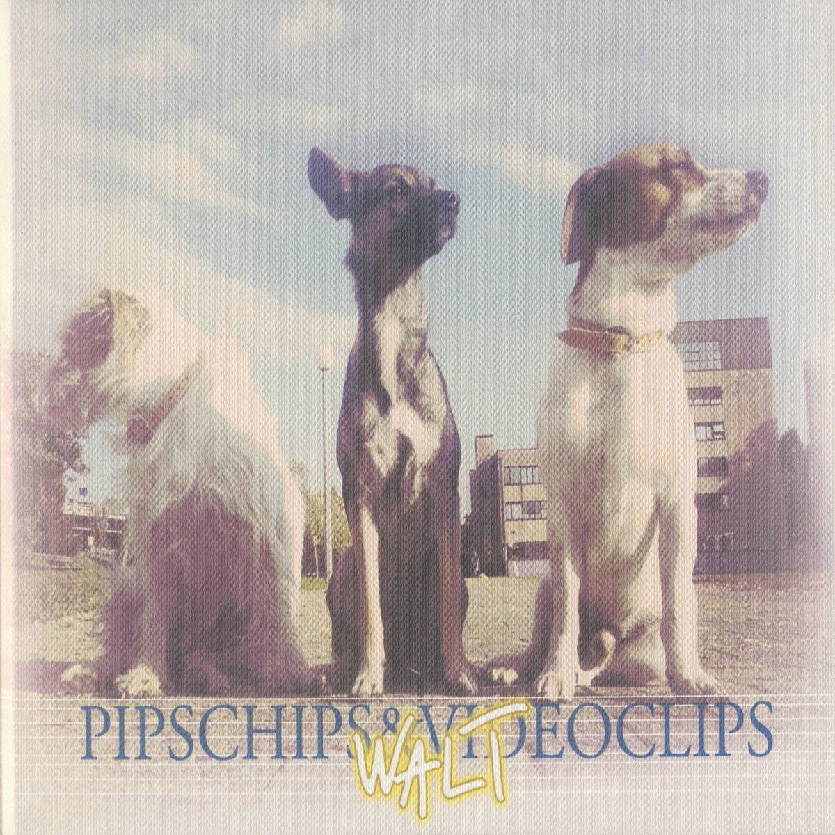 Album cover of Walt