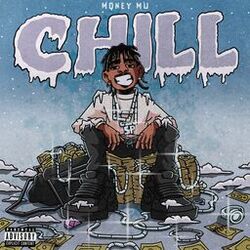 Cover of Chill