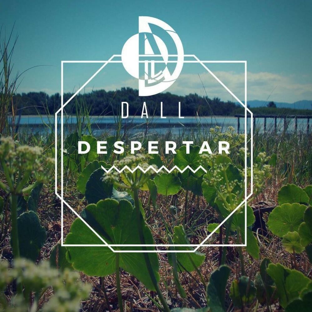 Picture of Despertar