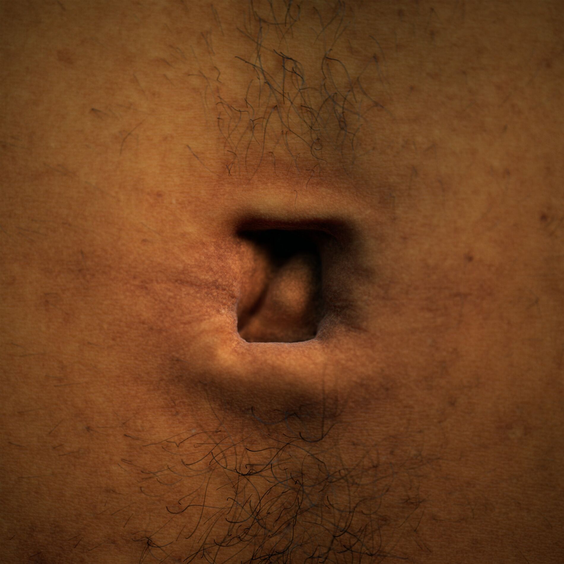 Album cover of Voyager