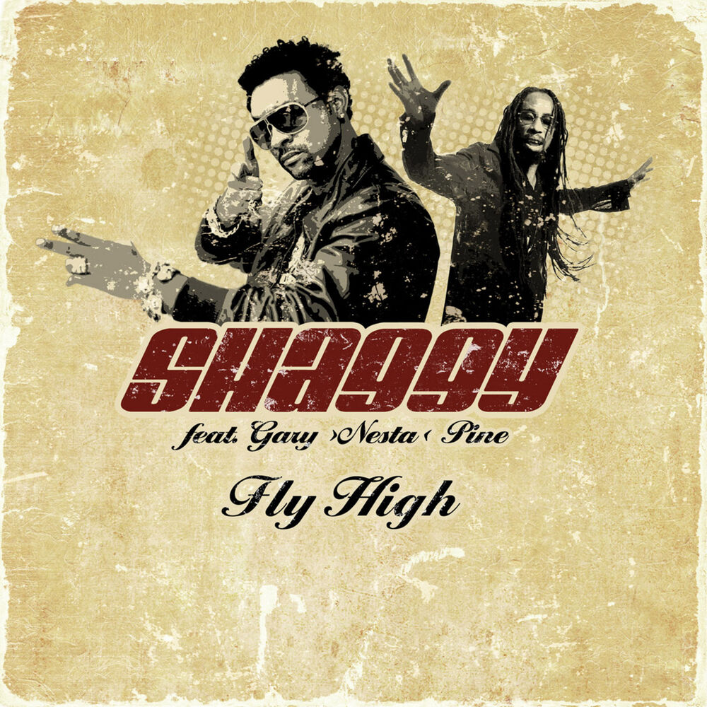 Picture of Fly High
