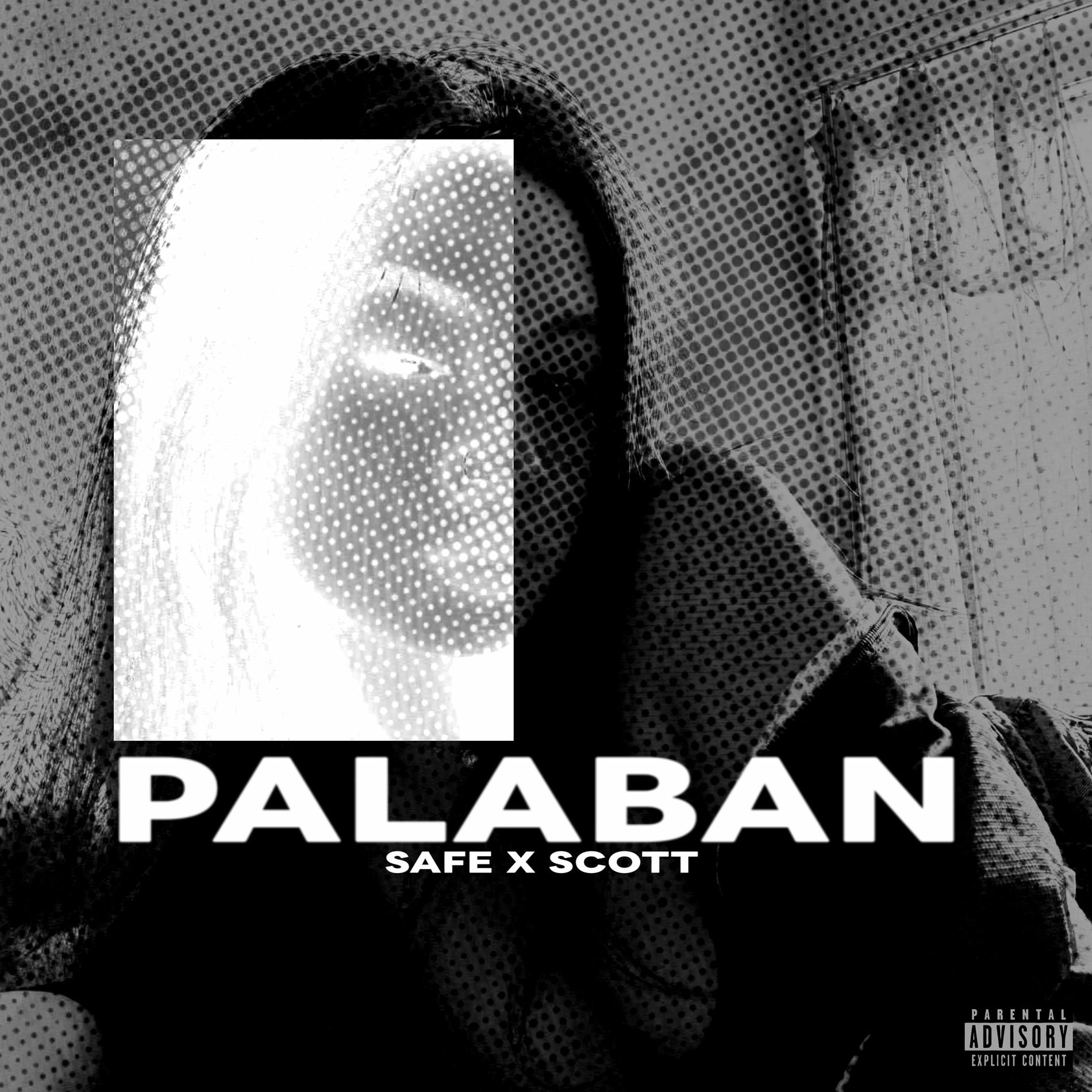 Album cover of Palaban