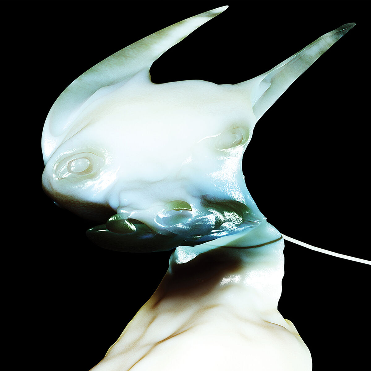 Album cover of Fish