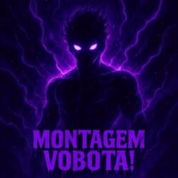 MONTAGEM VOBOTA!