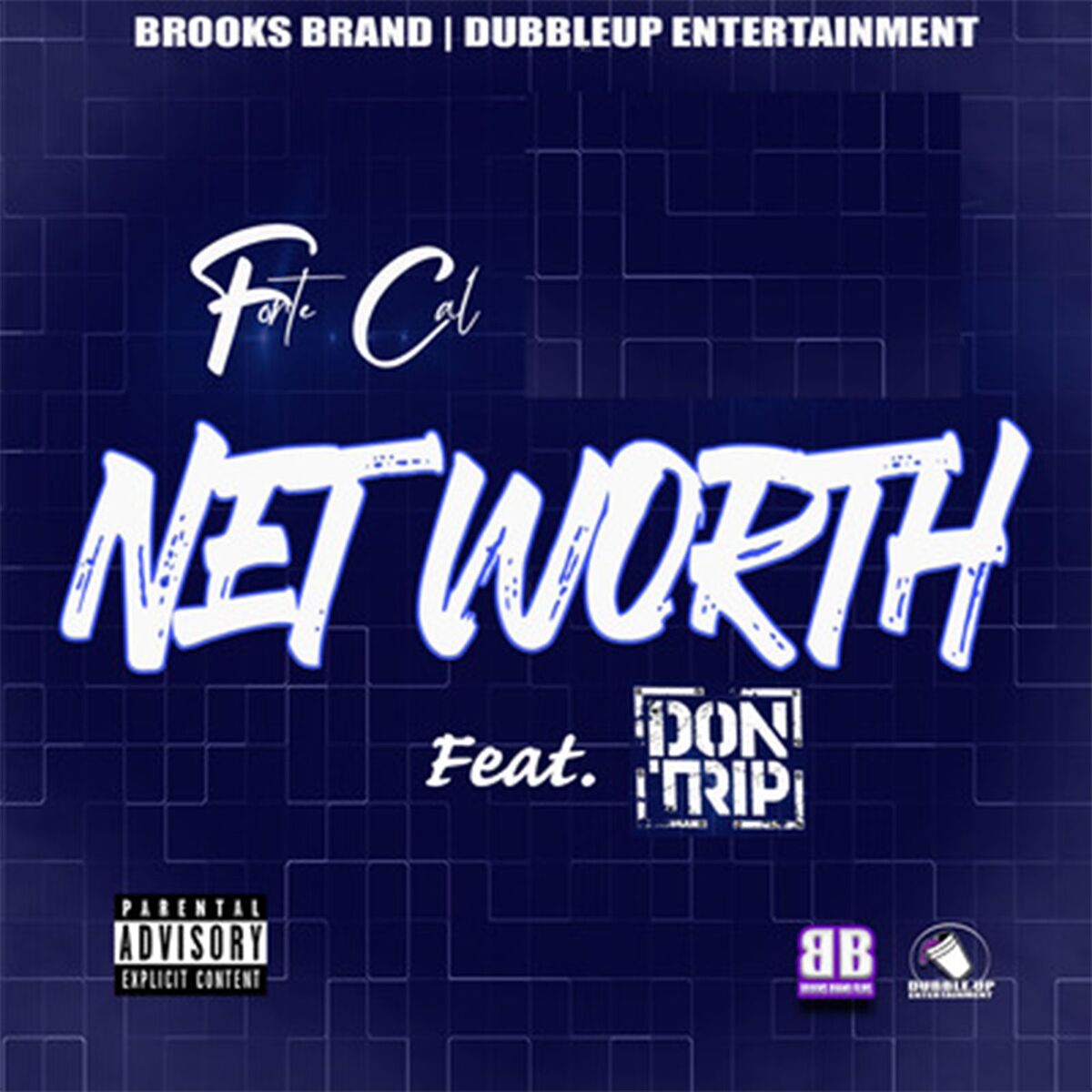 Album cover of NetWorth