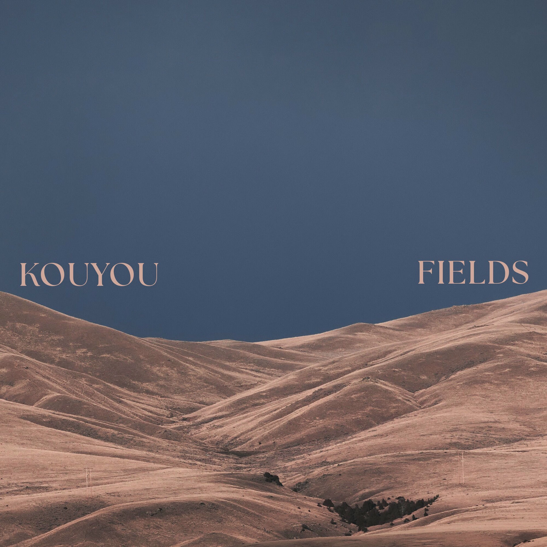 Album cover of Fields