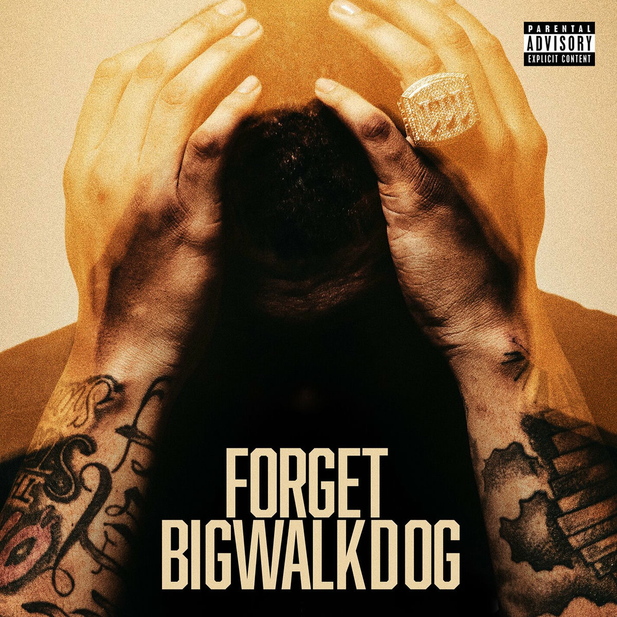 Album cover of Forget