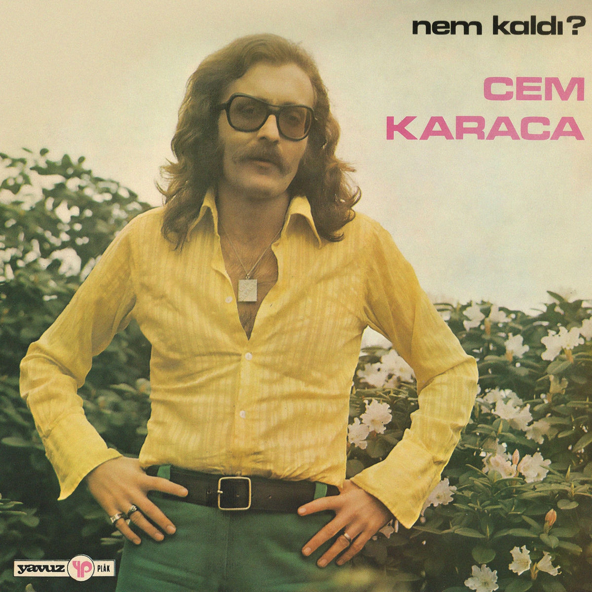 Album picture of Nem Kaldı?