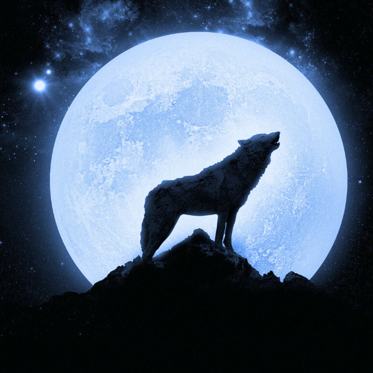 【中古】 At Night They Howl At The Moon Stadiumx & Taylr Renee - Howl At The Moon (Official Music